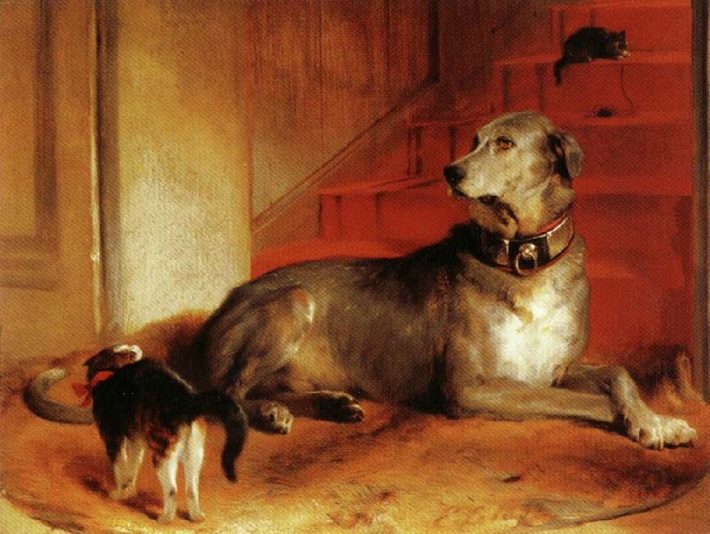 Sir edwin henry landseer,R.A. Lady Blessingham's Dog oil painting image